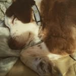 Tanner McGovern - @tannermcgovern - Instagram