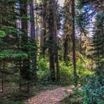 tanner - @tannermcleodphotography - Instagram