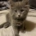 Tanner McVey - Facebook