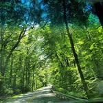 Tanner Melvin - @natures_lense717 - Instagram