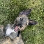 Tanner Merrill - Facebook