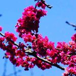 Tanner Morehead - @tanner_morehead_photography - Instagram