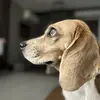 tanner.moreno - @tanner.moreno - TikTok