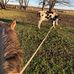 Tanner Ogle - Facebook