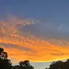 tanner_phillips - @tanner_phillips - TikTok