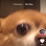Tanner Pitts - @tanner.nerd - Instagram