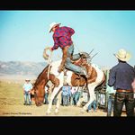 Preston Tanner Smith - @tanner.preston - Instagram