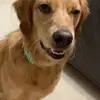 Tanner Preston - @trendy.tiktok.clothes - TikTok