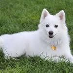 Tanner Preston - @tann_433 - Instagram