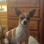 Tanner Rush - @tanner.rush.146 - Instagram