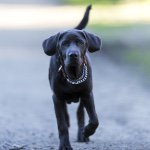 Tanner Rutledge - @tanbanans - Instagram