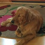 Tanner Rutledge - @rutledge.tanner - Instagram
