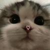 user3806239911715 - @tannerserrano00qdir - TikTok