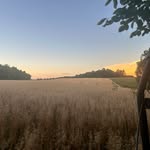 Tanner shaffer - @tshaf0783 - Instagram