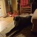 Tanner Shaffer - Facebook