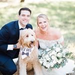 Tanner Sheets - @tannersheets8 - Instagram