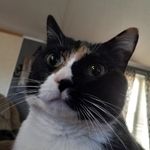 Tanner Shoemaker - @tannershoemaker123 - Instagram