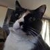 Tanner Shoemaker - Facebook