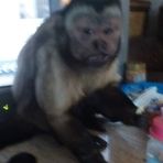 Tanner Shrum - Facebook