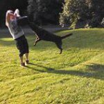 Tanner Shrum - @tannerbum620 - Instagram