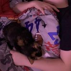 Tanner Shull - Facebook