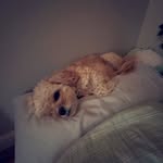 Tanner Sims - @tanners.account1 - Instagram