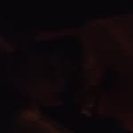 Tanner sims - @tannersims711 - Instagram