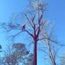 Tanner Sims - Facebook