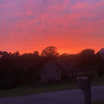 Tanner Six - Facebook