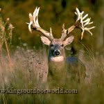 Tanner Specht - @hunt_the_wild001 - Instagram