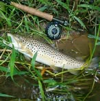 Tanner Specht - Facebook