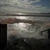 tanespooner - @tanespooner - TikTok