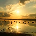 Tanner Spooner - @tspoon.outdoors - Instagram
