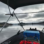 Tanner Stapp - @torchoftiki - Instagram