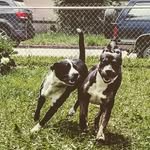 Tanner_69 - @tannerstoddard05 - Instagram