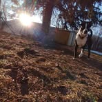 Tanner Stoddard - Facebook