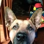 Tanner Stoddard - Facebook