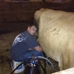 Tanner Stratton - Facebook