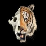 Tanner Streeter - @art_of_tannerstreeter - Instagram