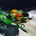 Tanner Sutherland - Facebook