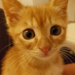 tanner swanson - @tannerswanson2863 - Instagram