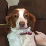 Tanner Swanson - @tanner_swanson1 - Instagram