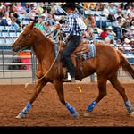 Tanner Thackeray - @tanner_thackeray - Instagram
