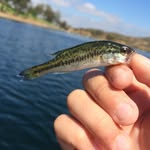 Tanner Thorne - @monster_tanner - Instagram