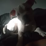 Titus Tanner - @titus._.tanner - Instagram