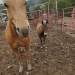 Tanner Tolbert - @tanner.tolbert.3 - Instagram