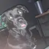 tanner.townsend1 - @tanner.townsend1 - TikTok