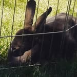 tman - @tanner_townsend_13 - Instagram