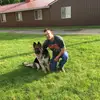 Tanner Travis - @fordtech21 - TikTok