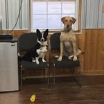 Tanner Travis - @tannertravis13 - Instagram